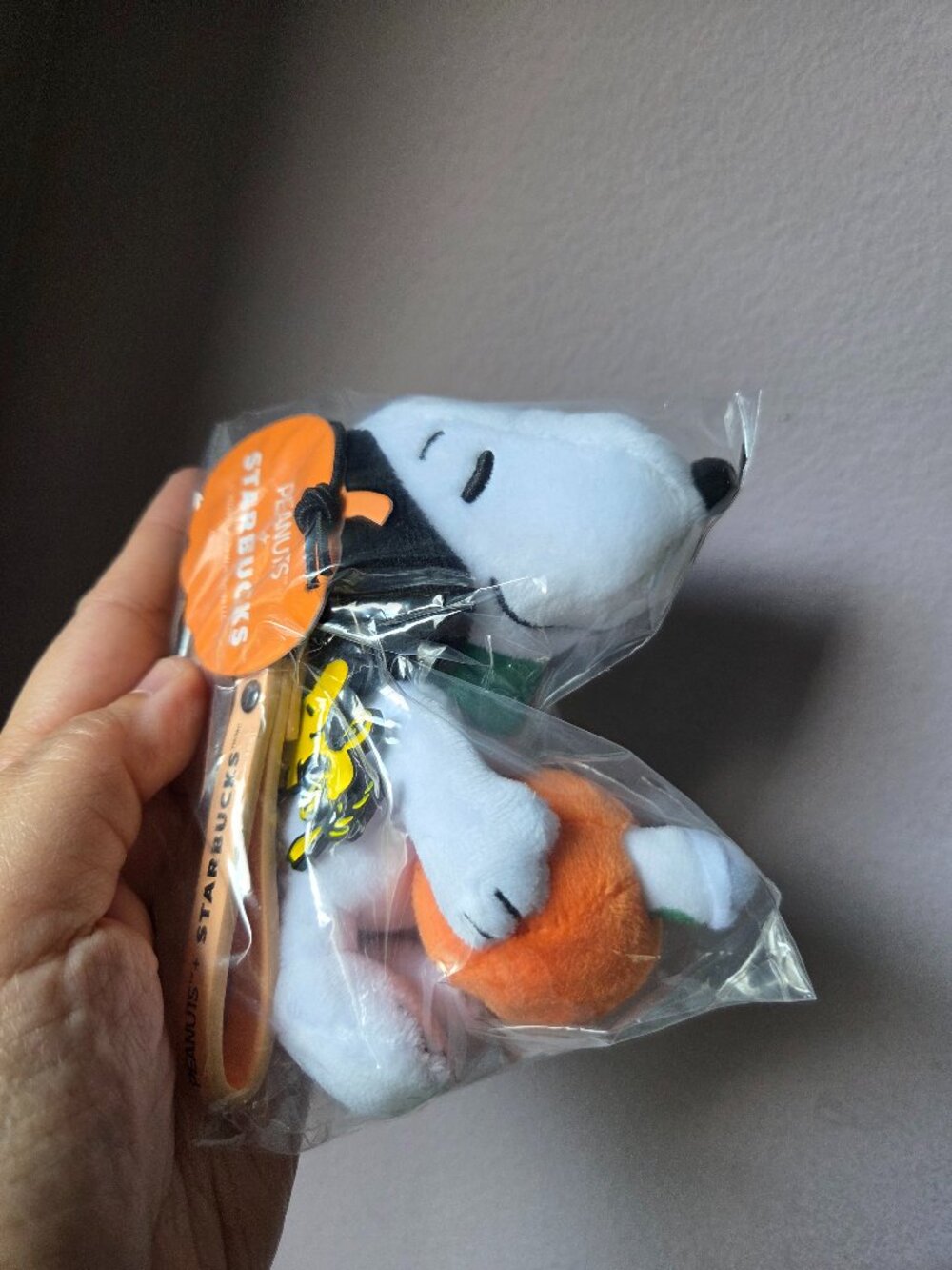Starbucks X Peanuts Snoopy Plush Bag Charm Plush Pumpkin Fall Collection 2026